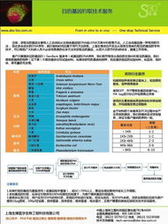 目的基因钓取技术服务 上海生博医学生物工程科技有限公司的专业优势与网络技术支撑