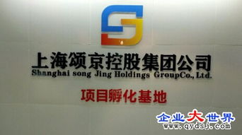 颂京控股集团旗下网络科技公司 立足上海，引领数字化服务新浪潮