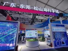 上海网络技术服务 科技赋能，助力中国高新网创新发展